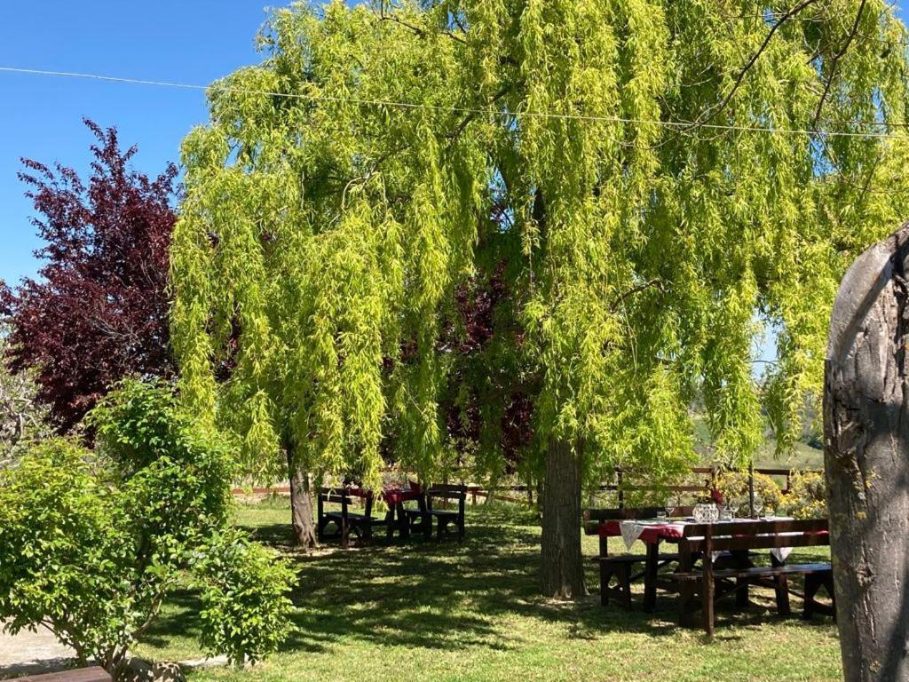 Agriturismo Il Portico Penne Luaran gambar